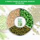 Vasu Nutra Plant Protein Powder 400 gm - Health Products