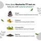 Neuherbs T7 Test -On Capsules 60's - Sexual Care