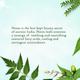 Aravalli Neem Face Scrub 100 gm - Personal Care (Ayush)