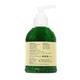 St. D'Vence Tea Tree Oil with Neem & Aloe Vera Face Wash 150 ml - Face Wash & Cleansers