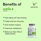 Vedistry Amla+ Tablet 60's - Pure Herbs