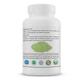 Goldenacacia Herrbals Moringa Flower Powder 50 gm - Pure Herbs