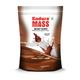 Endura Mass Weight Gain Powder - Chocolate Flavour 907 gm - Weight Gain