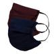 Faballey Classic 2 Ply Pleated Reusable Mask Set (2 Pcs) - Face Mask