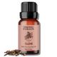 Essentia Extracts Pure Essential Oil - Clove 15 ml - Essential Oils