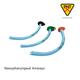 Sterimed Nasopharyngeal Airway (SMD 720) (6.0 mm) 1's - Airways