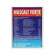 Aimil Muscalt Forte Tablet (Pack of 3 x 30's) - Speciality Medicines