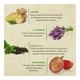 Bioayurveda Basics Deep Detox Body Scrub Creme 120 gm - Scrubs & Exfoliants