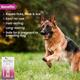 Wiggles Eraditch Spot on for Dogs Fleas Ticks Remover Treatment Drops 4.02 ml - Pet Grooming