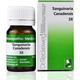 Adel Sanguinaria Can. 3X (4 grain) Tablet 20 gm - Triturations (Homeo Tablets)