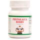 Bakson's Phytolacca Berry Tablet 75's - Speciality Medicine