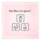 The Beauty Co. Soft Touch Moisturizing Face Lotion 250 ml - Face Moisturizers