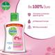 Dettol Skincare Germ Protection Liquid Handwash - Flip Top 250 ml - Hand Sanitizer