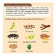 Diabliss Diabtic Friendly Chia Seed Millet Cookies 150 gm - Nutritional Bars