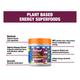 Fast&Up Plant Based Energy Superfoods Powder - Unflavoured 300 gm - Energy Drinks