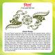 Neeta Mehendi Powder (Pack of 2 x 500 gm) - Henna