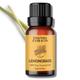 Essentia Extracts Pure Essential Oil - Lemongrass Oil 15 ml - Essential Oils