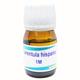 Boiron Tarentula Hispana 1M Liquid  20 ml - Dilutions