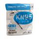 Medisales K N95 Anti-Pollution Mask (Pack of 2) - Face Mask