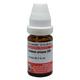 Dr. Willmar Schwabe Acidum Uricum 200 CH Drops 10 ml - Homeopathic Drops