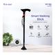 Dr. Odin Smart Walking Stick (09-A) - Walker & Walking Stick