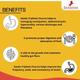 Zenius Constipation Churan Powder 100 gm - Speciality Medicines