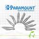 Paramount Surgical Blade (No. 11) 100's - Syringes And Needles
