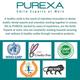 Purexa Healthy Gum Care Herbal Toothpaste (Pack of 2 x 100 gm) 1's - Toothpaste