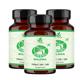 Mint Veda Ginkgo Biloba 120 mg Capsule (Pack of 3 x 120's) - Herbal Dietary Supplement